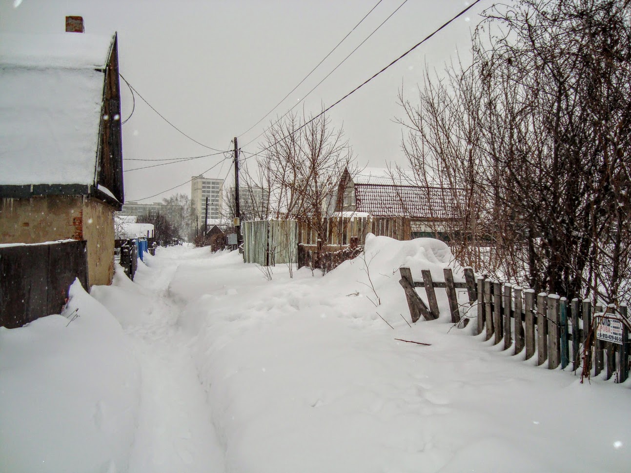 DSC06222
