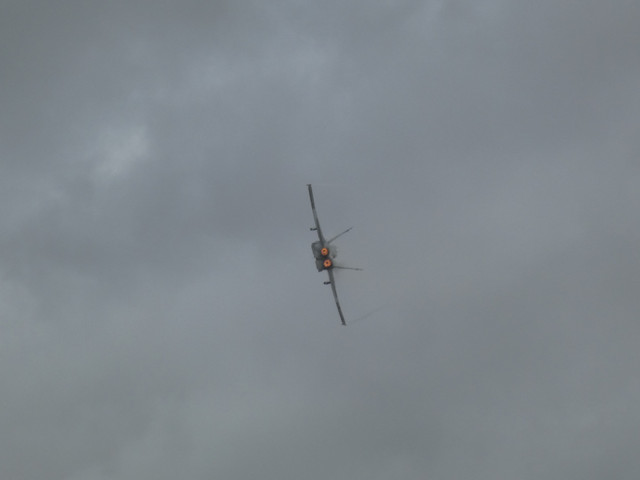 P1010230-2.jpg
