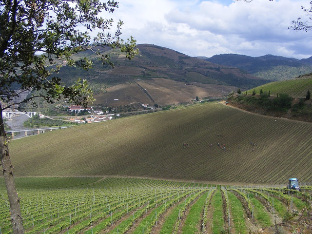 abril-21-009