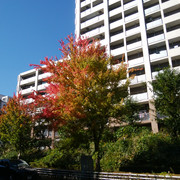 2022-11-04-09