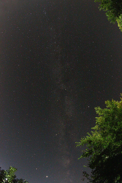 3113m