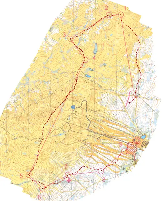 oringen2023dag2