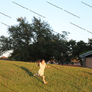 IMG 6209