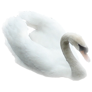 0-6e66b-909454b6-L