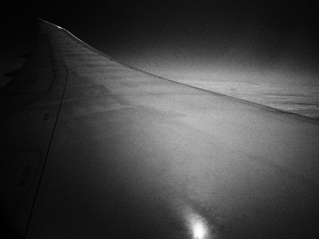 P7314884
