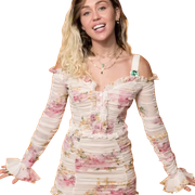 SAM-2