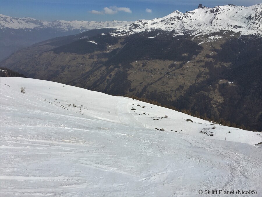 IMG-8984.jpg