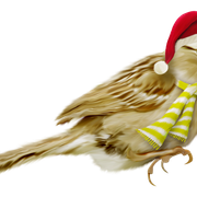 2882969