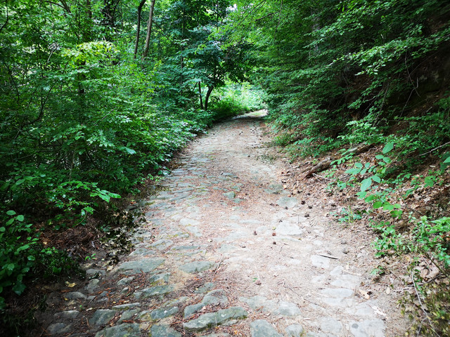 IMG-20220710-180102
