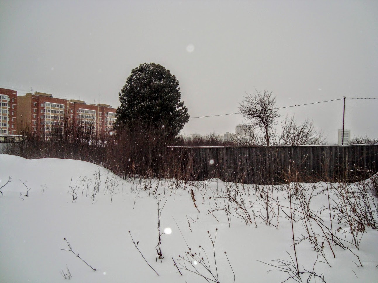 DSC06237