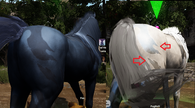 bdo05
