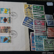 IMG-2031