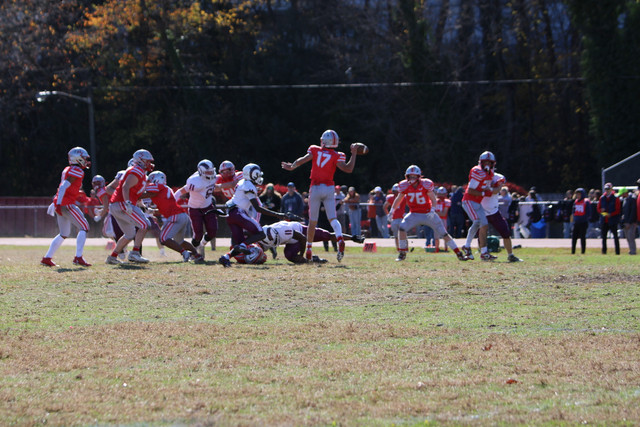 IMG-1282.jpg