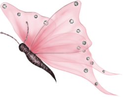 Mariposa-rose.png