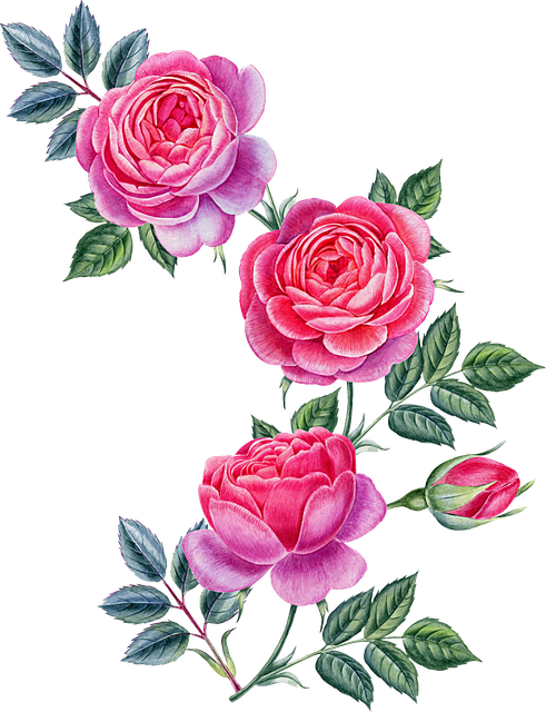 a363b8bfbc5665f4efd9e5882febcfc6.png