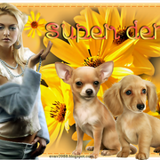SUPER-DEN