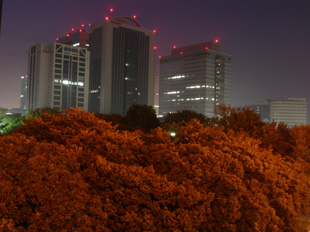 2009-10-13-14-042