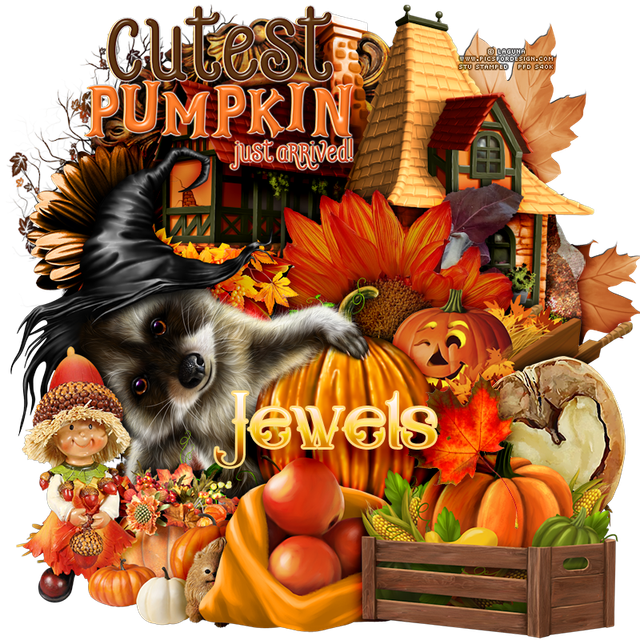 Autumn-Falls-SKJewels