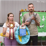 DSC-1527