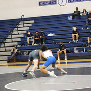 IMG-0356