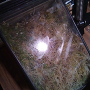 IMG-20240106-183648