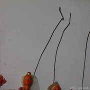 IMG-8425