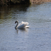 IMG 6325