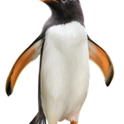 Penguin