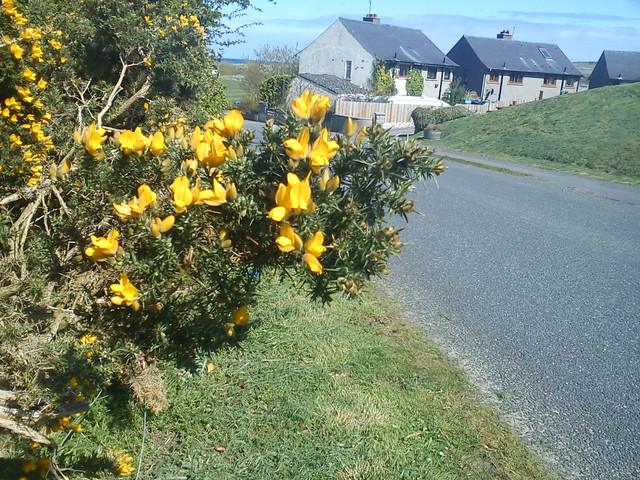 DSC00211