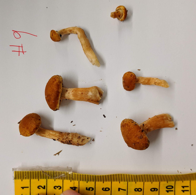 IMG-20190602-101446