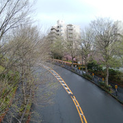 DSC-0069