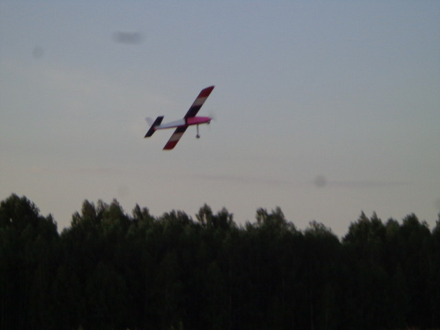 DSC00811.jpg