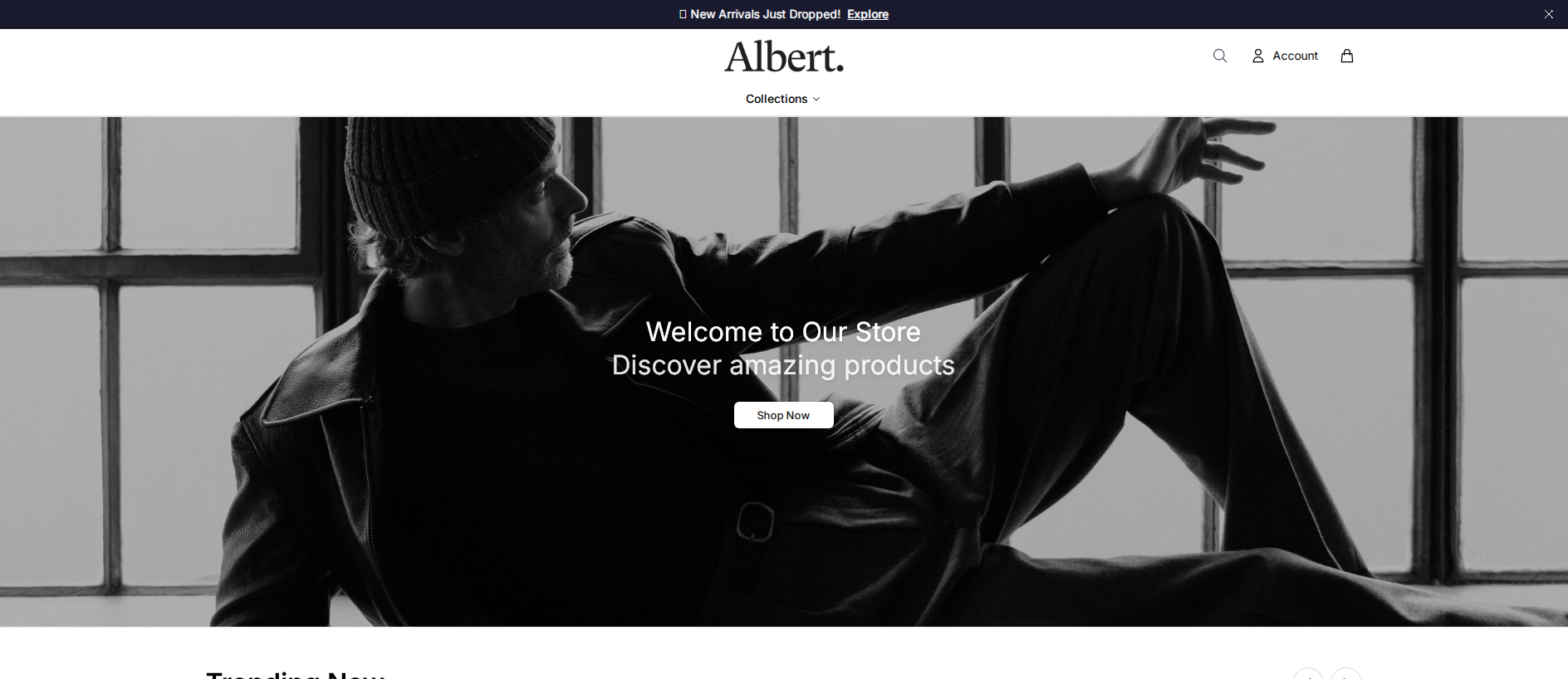 Stored capture of albertclosetofficial.shop