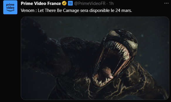 https://i.ibb.co/Mc378cv/image.png