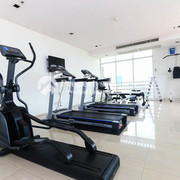 IMG 7931