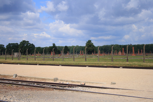 IMG-5872.jpg