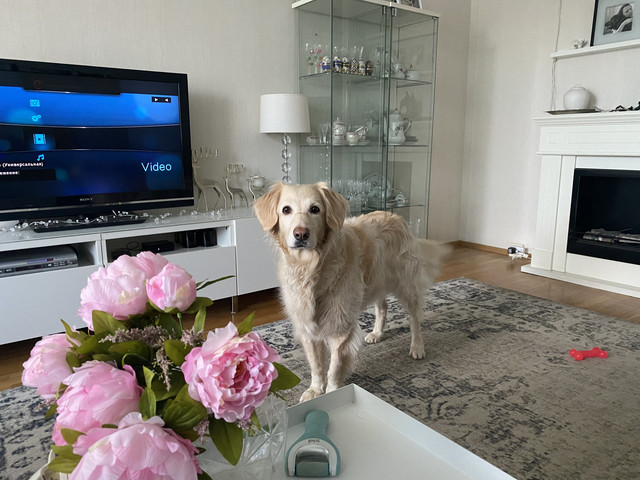 63-C48785-3423-4-C71-8434-51-B63942-ADBB