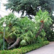 IMG-0522