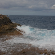DSCF8616