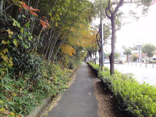 2010-11-20-037