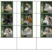 WM-Wolf-Icons