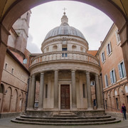 IMGP8392
