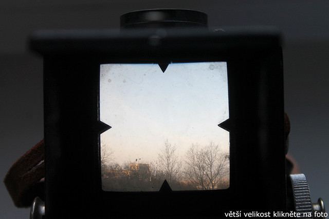IMG-1596.jpg