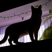 IMG-20220125-150346