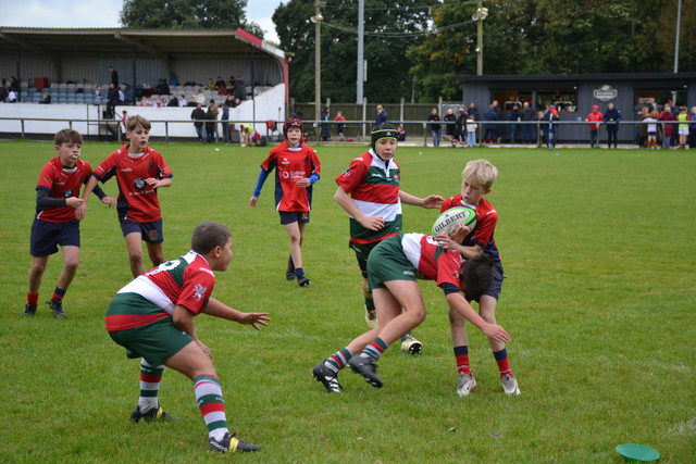 DSC-0333.jpg