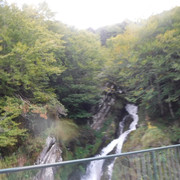 DSCF6224
