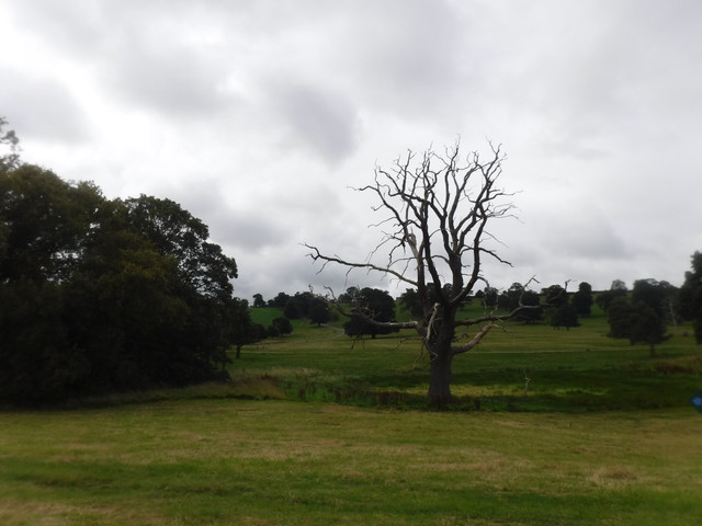 DSCF7609.jpg