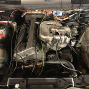 IMG-8146