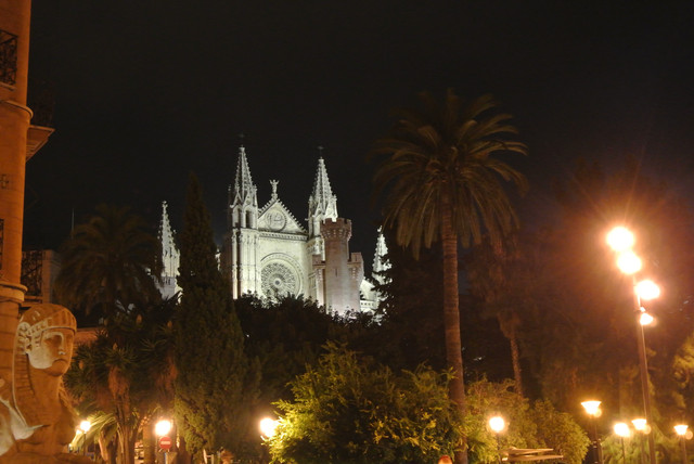 DSC-5847
