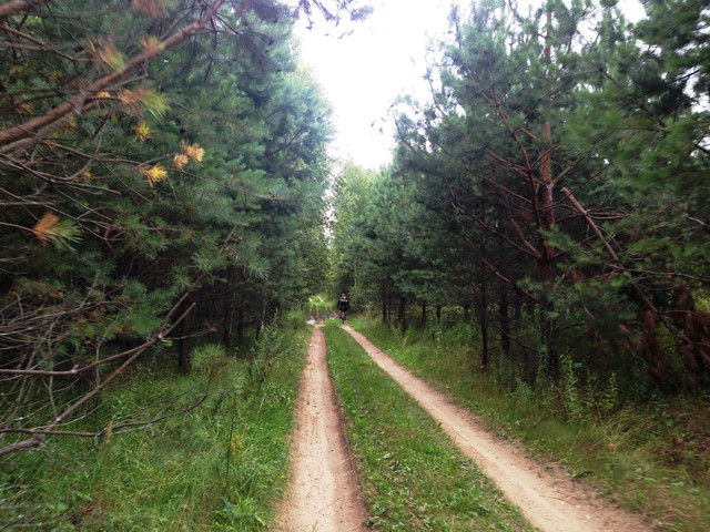 IMG-3993.jpg